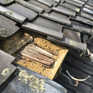 鈴鹿市周辺で住まいの屋根・外壁修理・リフォームならトラストホームテック｜すまいの修理Goodプロ